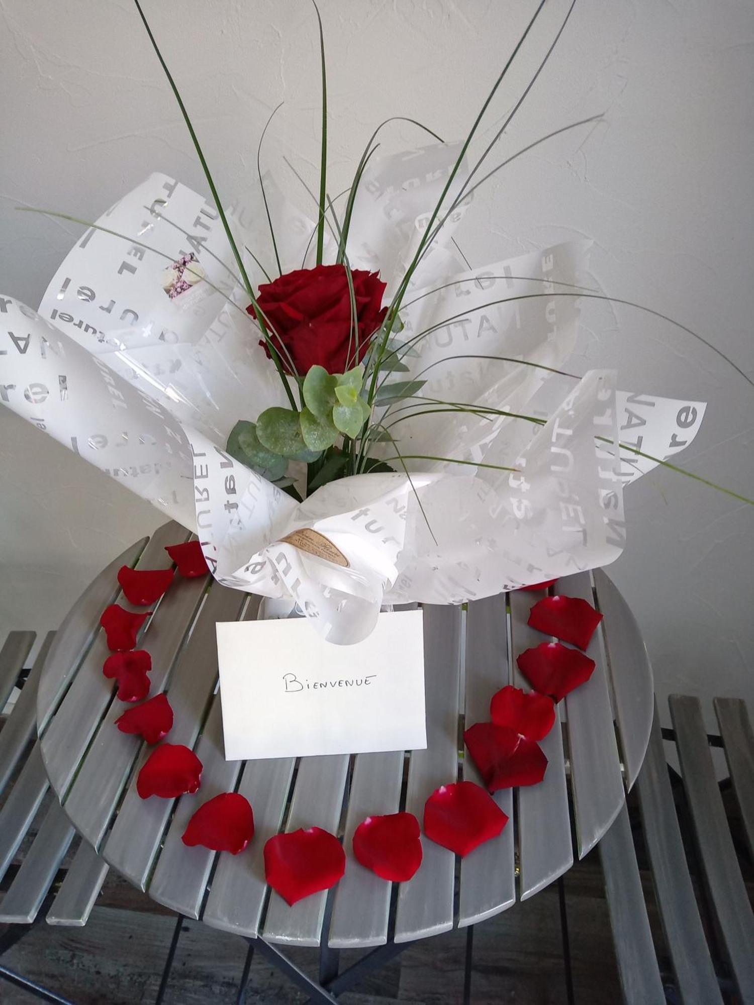 Studio Les Coquelicots Saint-Romain-sur-Cher 외부 사진